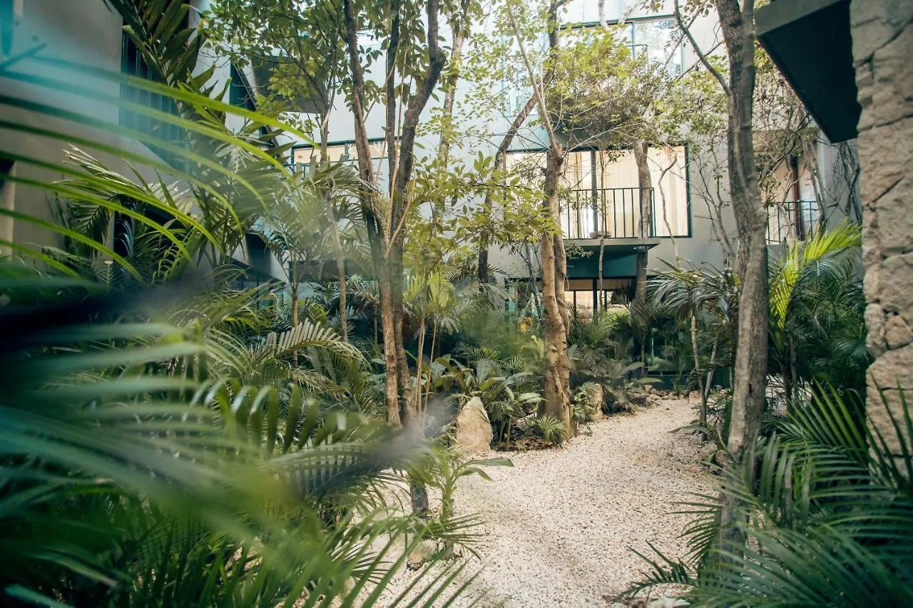 Vida Boho Apart 3 With Special Fee To Access Hotel Bardo Tulum Mexico