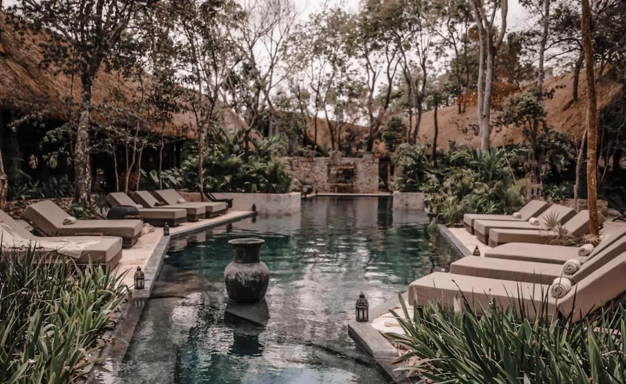 Vida Boho Apart 3 With Special Fee To Access Hotel Bardo Tulum Apartment